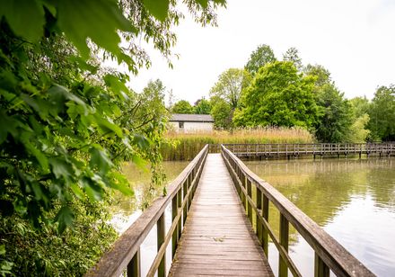 Steiger bij de vijver in het Steinmeisterpark in Bünde