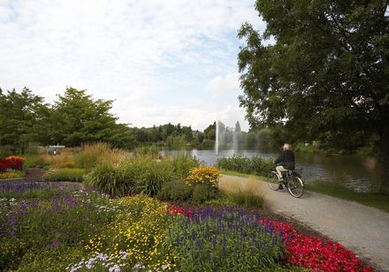 Bloemperken aan het Emsmeer