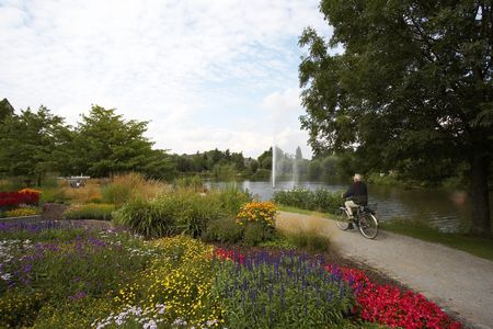 Bloemperken aan het Emsmeer