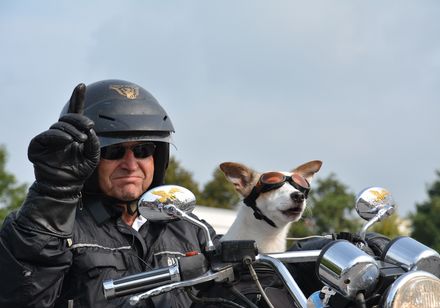 Motorrijder met hond