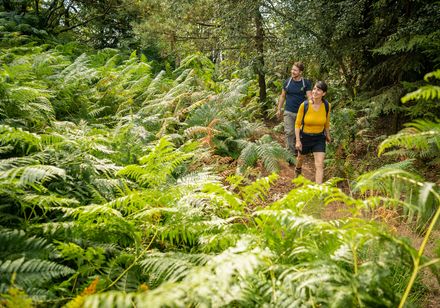 Pruisisch Velmerstot - een gevarieerd natuurgebied in Lippe