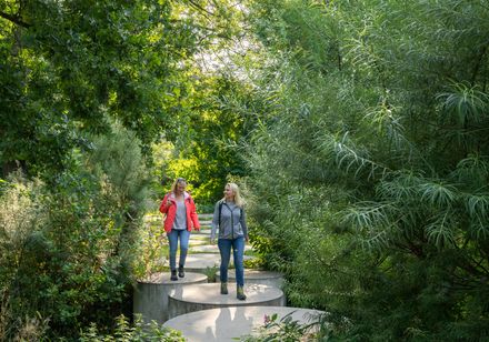 twee mensen wandelen door een groen park; grijze cirkels markeren het pad op de grond