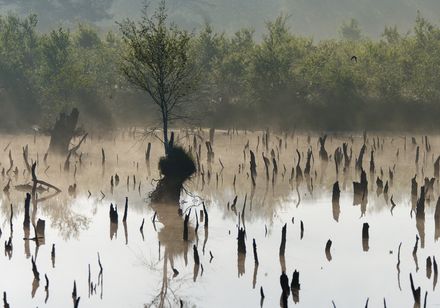 Moorland in natuurpark TERRA.vita