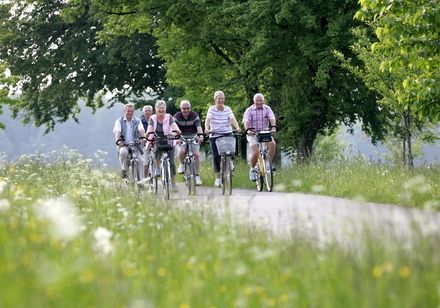 Groep fietsers tussen weiland en bomen