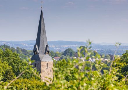 Kerkspits tussen de bomen