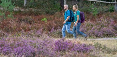 Twee wandelaars op een wandelpad door de Moosheide in de Senne