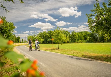 Twee mensen fietsen over een geasfalteerd pad 