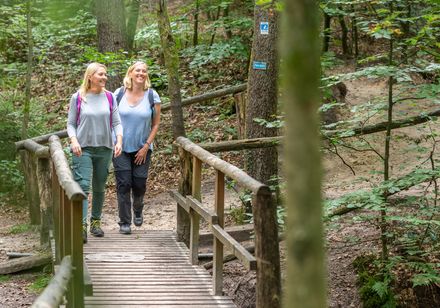 Twee vrouwen wandelen over een houten loopbrug in het bos