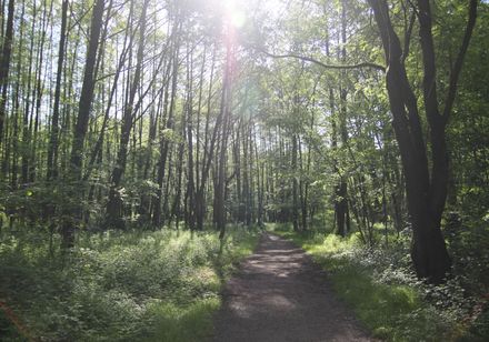 Natuur rond de Pottkuhle