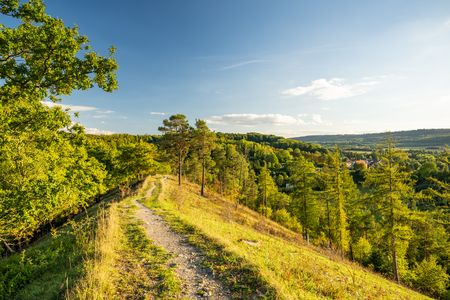 een schilderachtig wandelpad loopt door de groene natuur